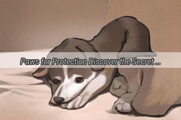 Paws for Protection Discover the Secret Weapon in Vaccination Shots for Your Furry Friend